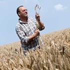 Agriculteur dans le champ de blé