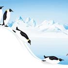 Penguins descendant une colline