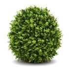 Un objet de la plante verte